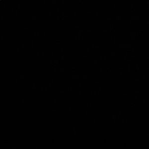 Meet your Posher, Noah